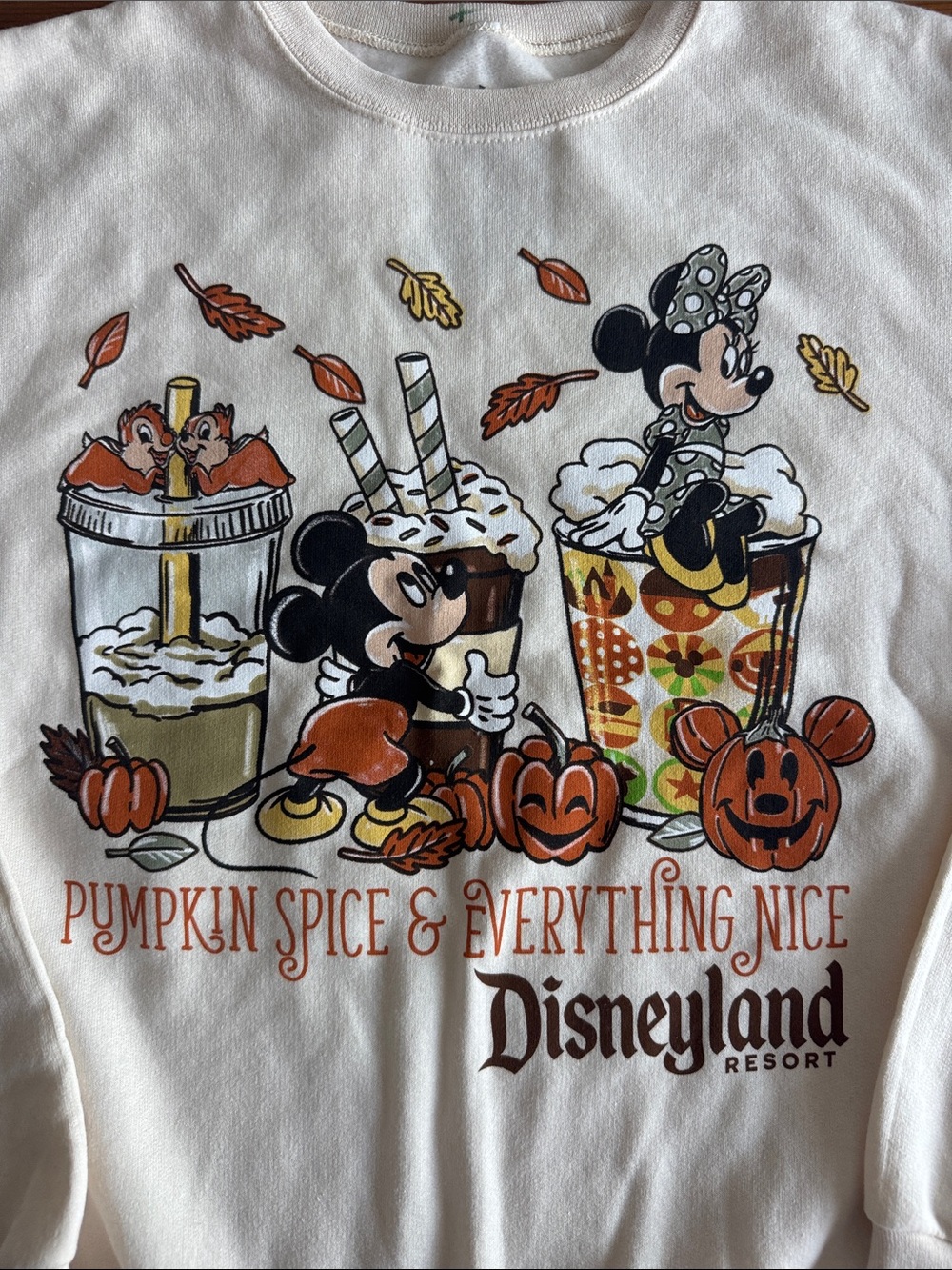 Disney Disneyland Resort Pumpkin Spice & Everything Nice Crewneck Sweatshirt - Picture 4 of 8